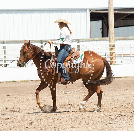 4H Show 2021-6
