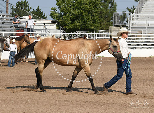 4H Awards 2021-21
