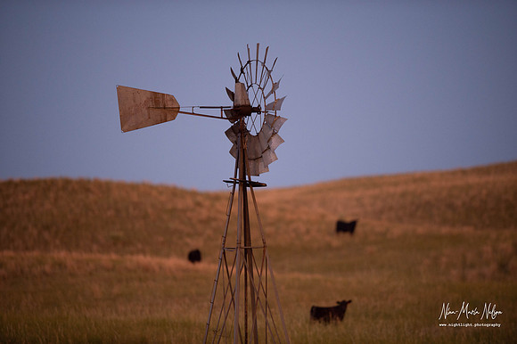 Windmill Hills NN