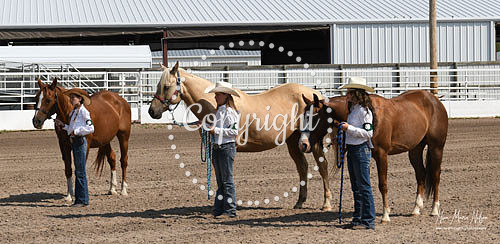 4H Awards 2021-71