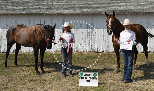4H Awards 2021-55