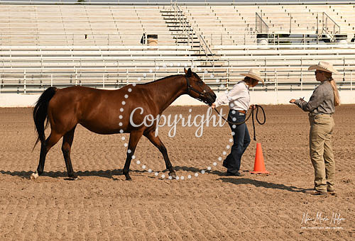 4H Awards 2021-45