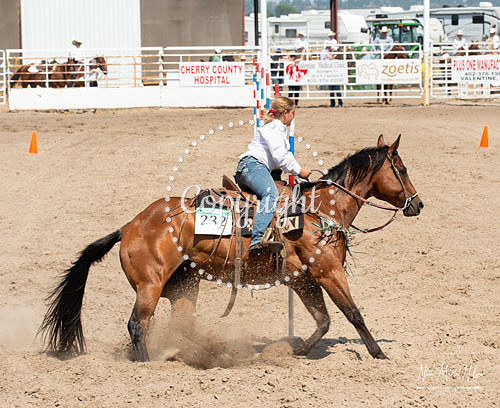 4H Show 2021-60