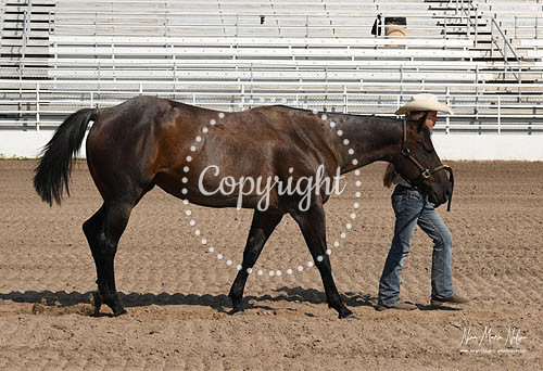 4H Awards 2021-50