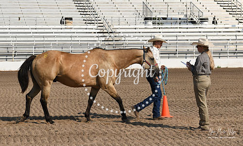 4H Awards 2021-23