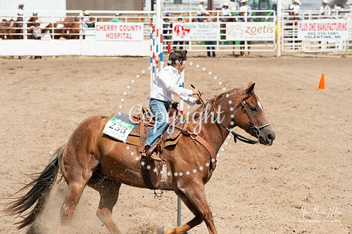 4H Show 2021-45