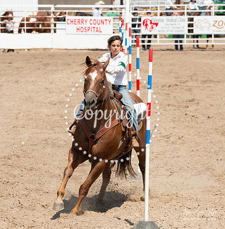 4H Show 2021-47