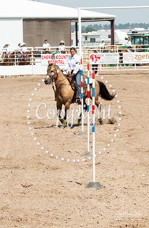 4H Show 2021-34