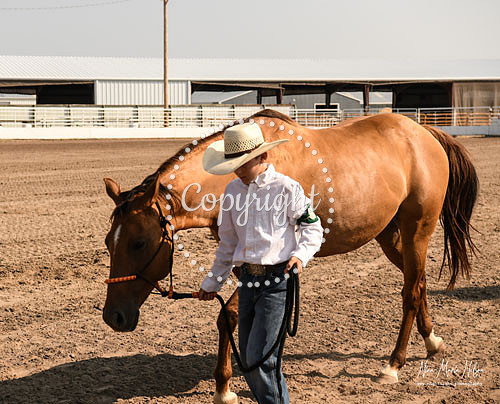 4H Awards 2021-43