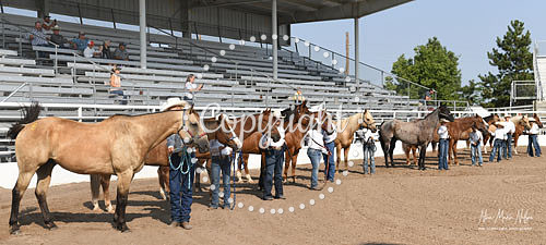 4H Awards 2021-8