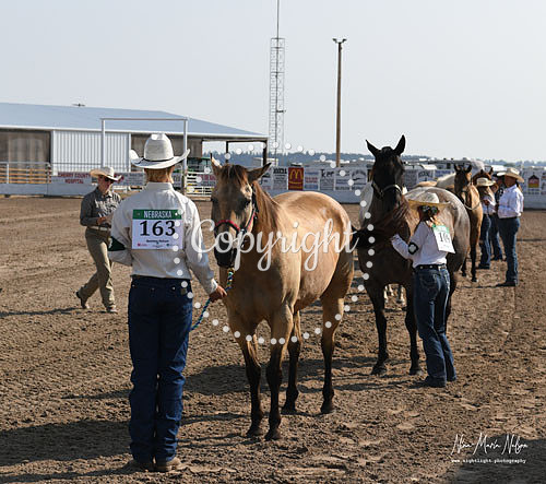4H Awards 2021-31