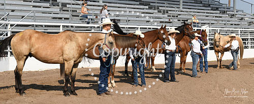 4H Awards 2021-10