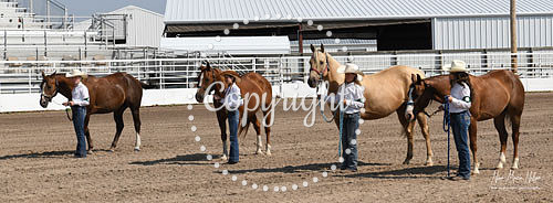 4H Awards 2021-73