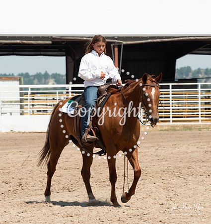 4H Show 2021-20