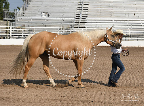 4H Awards 2021-27