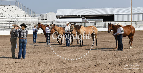4H Awards 2021-58