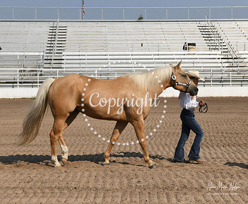 4H Awards 2021-28
