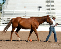 4H horse 22-19