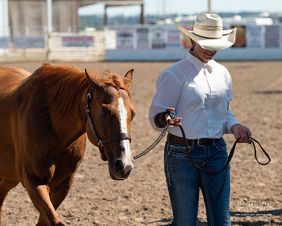 4H horse 22-81