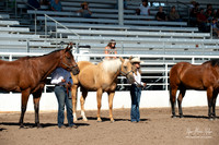 4H horse 22-12