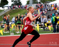 State Track 25-381