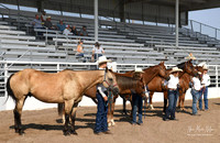 4H Awards 2021-12