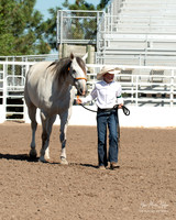 4H horse 22-13