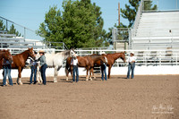 4H horse 22-7