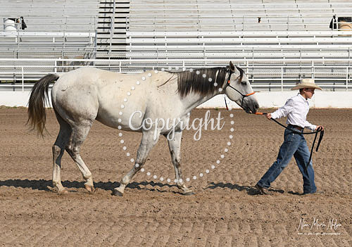 4H Awards 2021-26