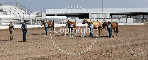 4H Awards 2021-70