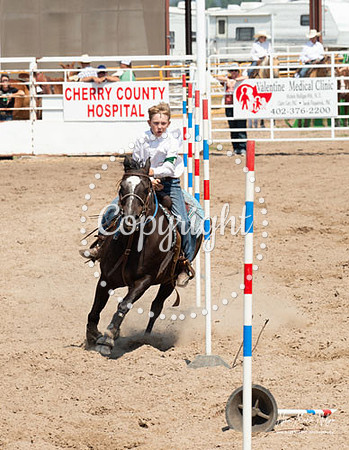 4H Show 2021-53