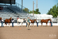 4H horse 22-10