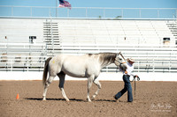 4H horse 22-15