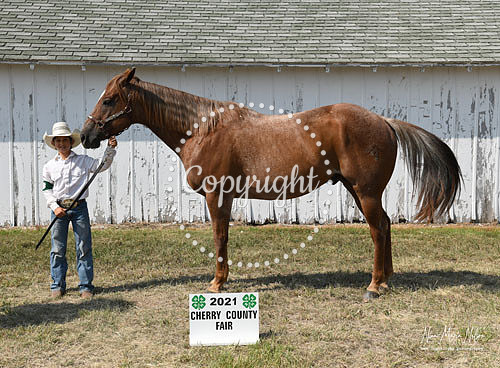 4H Awards 2021-68