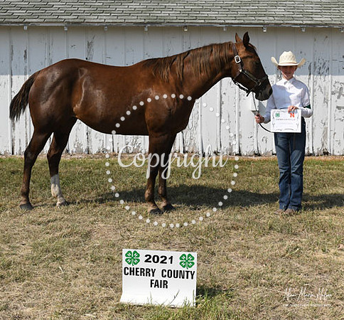 4H Awards 2021-52