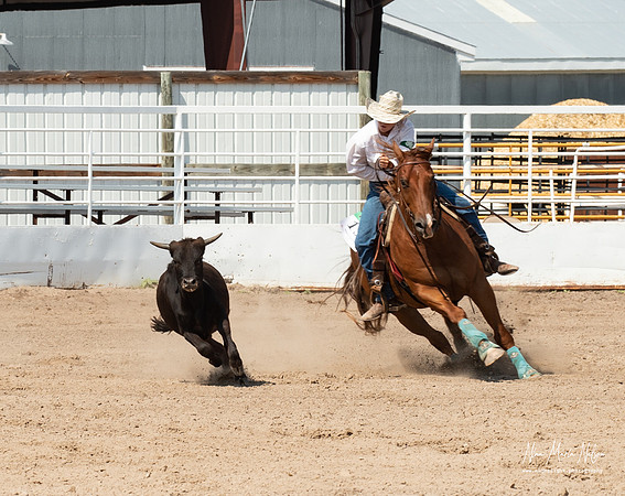 4H Show 2021-157