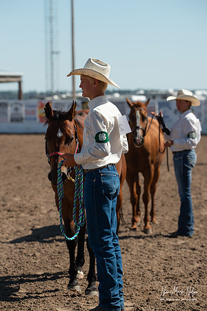 4H horse 22-74