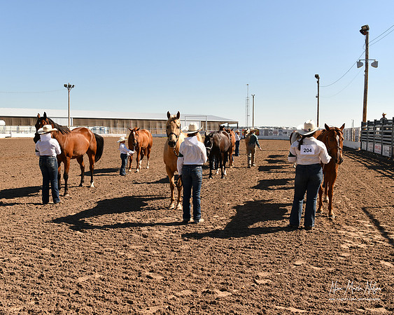 4H horse 22-61