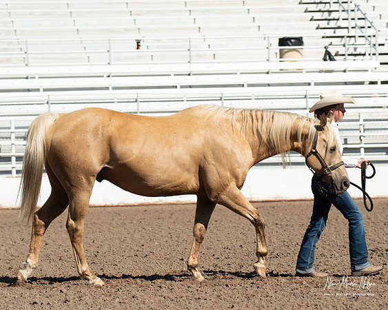 4H horse 22-22