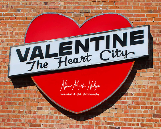IMG_Val.Heart.NN