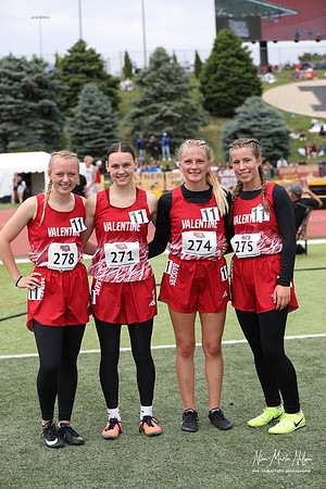 State Track 25-113