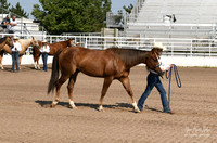 4H Awards 2021-20