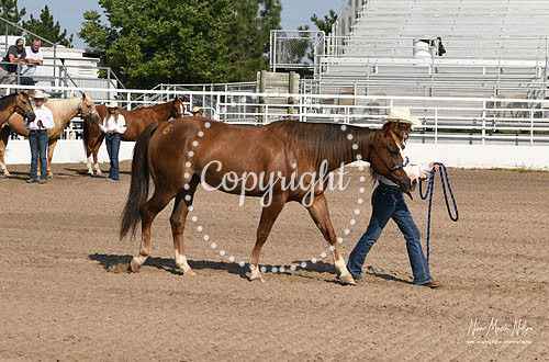 4H Awards 2021-20