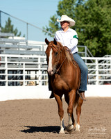 4H horse 22-6