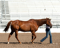 4H horse 22-20