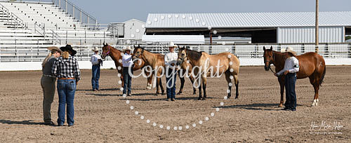 4H Awards 2021-57