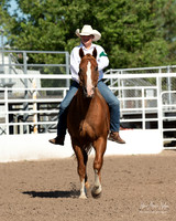 4H horse 22-5