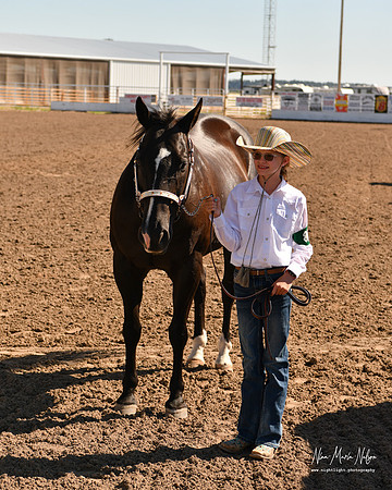 4H horse 22-76