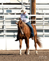 4H horse 22-4