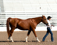 4H horse 22-18